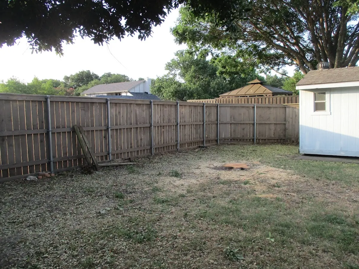 Cleared yard after professional tree removal in Indian Lake
